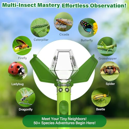 Bug Catcher for Kids with 6X Magnifier, STEM Educational Exploration Toys | Insect Trap Tool for Indoor and Outdoor Bug Discovery, Christmas Birthday Gifts for Adults, Boys and Girls, Green