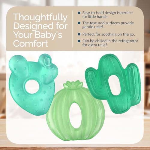 Itzy Ritzy Water-Filled Teethers for Teething Relief, Set of 3 Green Cactus