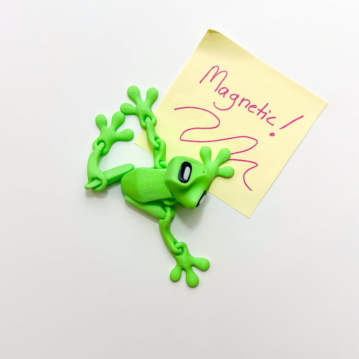 3D Printed Magnetic Frog Locker Buddy