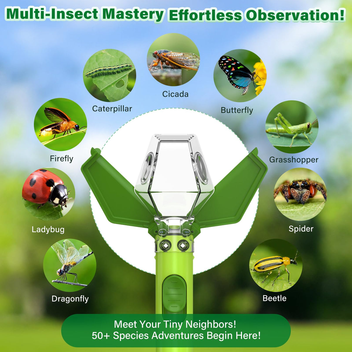 Bug Catcher for Kids with 6X Magnifier, STEM Educational Exploration Toys | Insect Trap Tool for Indoor and Outdoor Bug Discovery, Christmas Birthday Gifts for Adults, Boys and Girls, Green