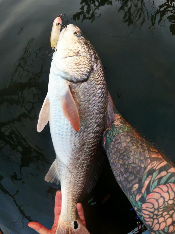 Inshore Speed Clip Bundle (25 Clips in Each Size)