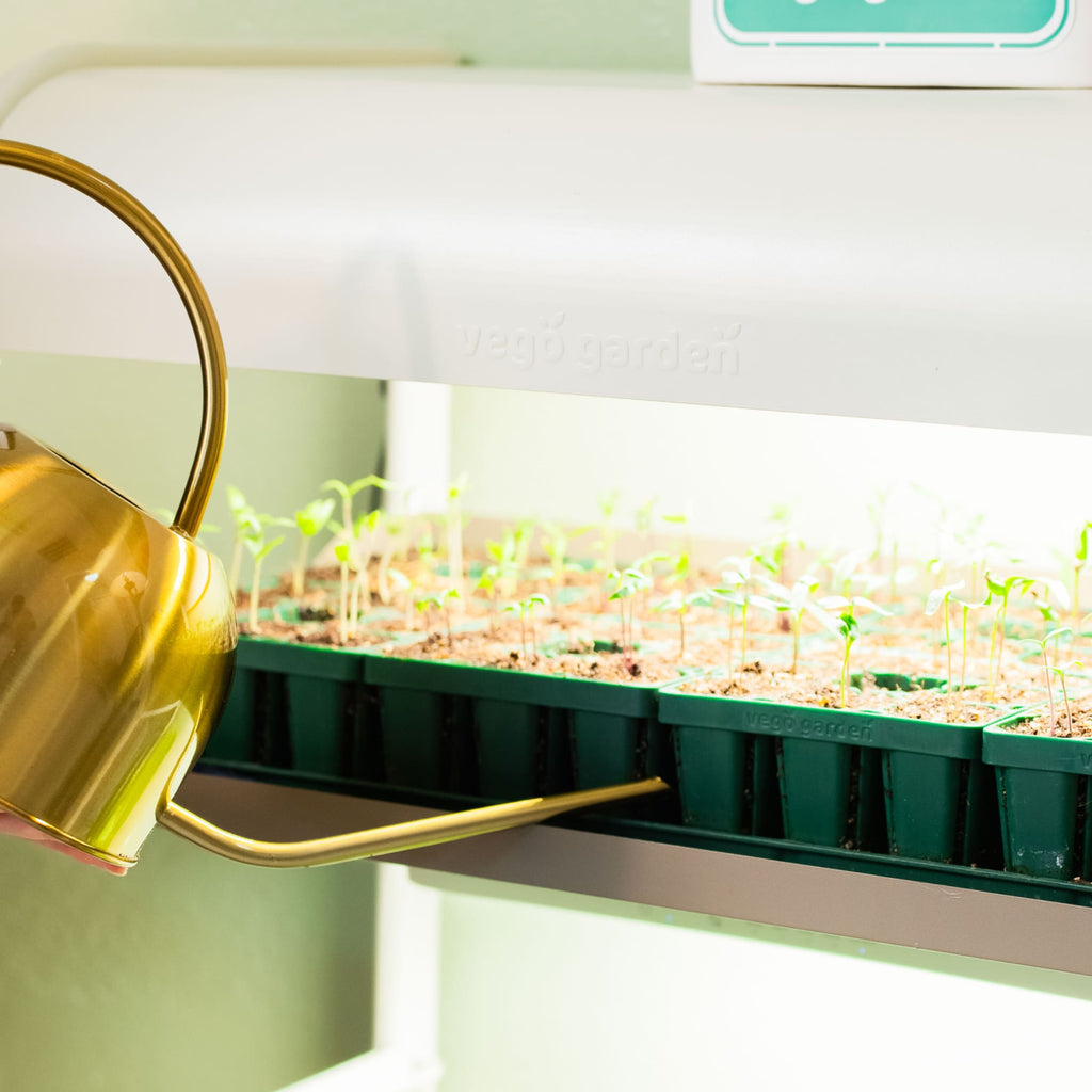 4 Tier Grow Light Garden with Storage