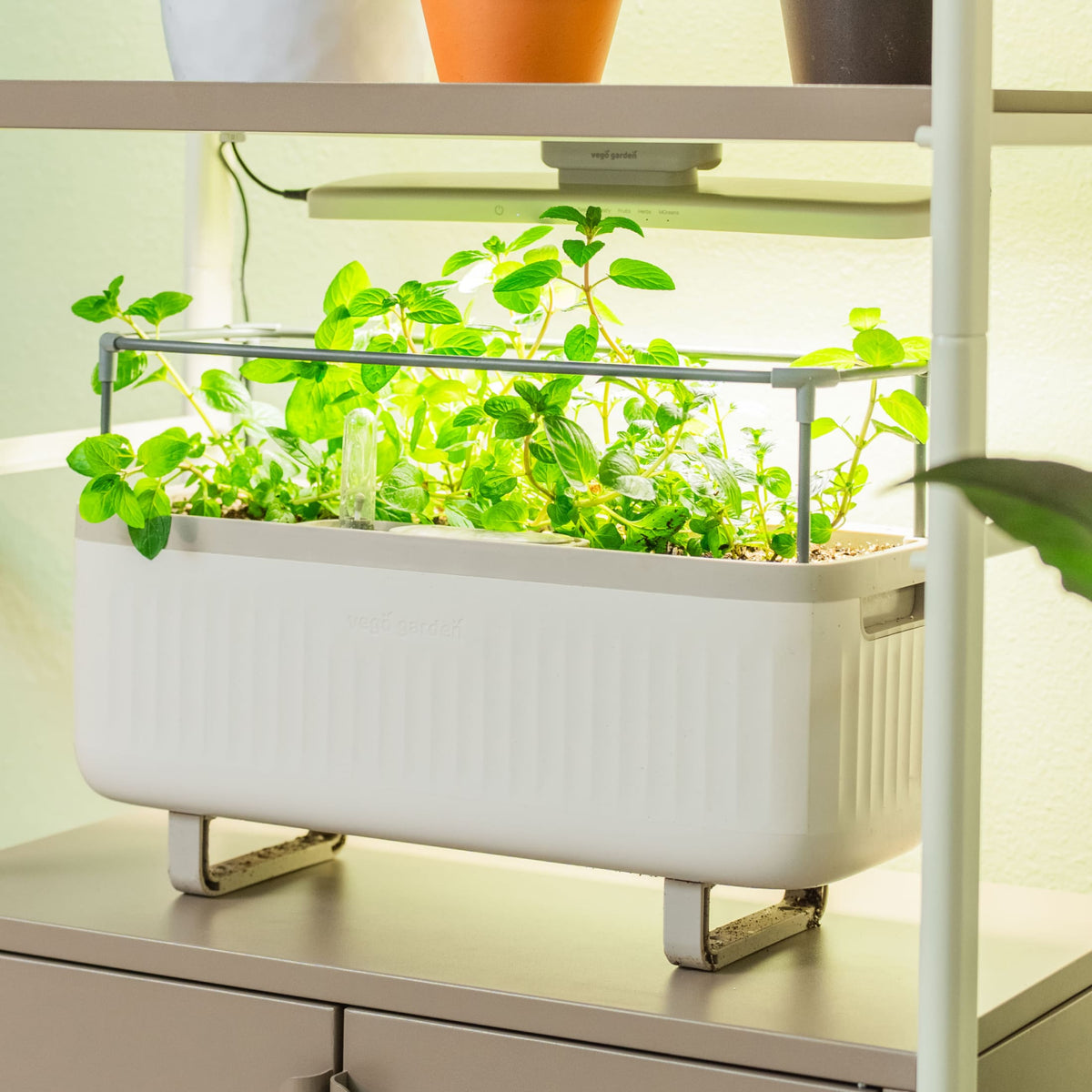 4 Tier Grow Light Garden with Storage
