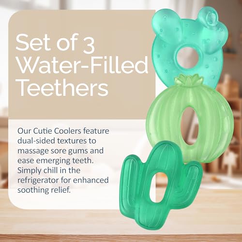 Itzy Ritzy Water-Filled Teethers for Teething Relief, Set of 3 Green Cactus